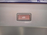パワーテールゲート(挟み込み防止機能、Easy Open  Easy Close機能付)