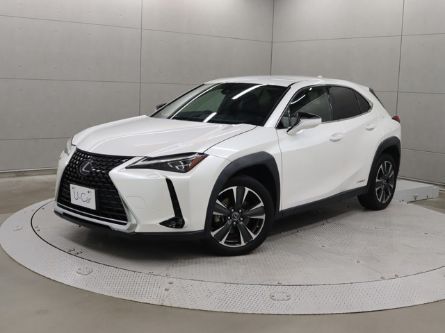 UX 250h バージョンC