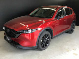 斜め前が車の決めポーズ!