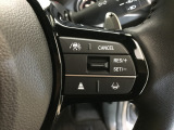 ハンドル右側にはクルーズコントロールのスイッチが装備され運転中の操作も安心して行えます。