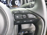 前車との適切な車間距離を保ちながら追従走行やスピードダウンをセンサーで行います。高速道路の長時間ドライブで疲労軽減に貢献します。