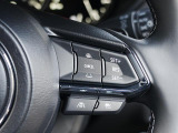 前走車両の速度に合せて、自車の速度を調整できる「アダプティブクルーズコントロール」を装備しています。