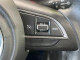 【クルーズコントロール】高速道路もラクラク走行。アクセルを離しても一定速度で走行ができ、長距離運転時の負担を軽減!加速・減速も簡単なスイッチ操作で調整できます。