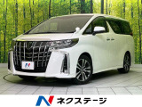 衝突軽減 レーダークルーズ 両側電動ドア  電動リアゲート LEDヘッド