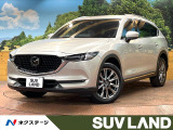 禁煙 10型ナビ 全周囲カメラ ブラインドスポットモニター 衝突軽減