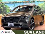 10型ナビフルセグ 全周囲カメラ 6人 電動リアゲート パワーシート