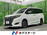 4WD 両側電動ドア SDナビ バックカメラ 寒冷地仕様 衝突軽減