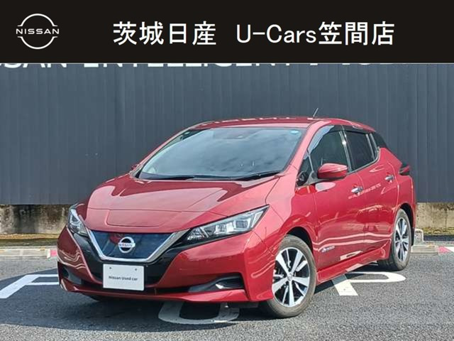 リーフ X