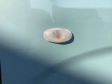 ■□■□■ 下取りもさせていただきます!! 下取によって利益を得る必要がないので、高価買取査定が可能になっております!! 査定だけでも大歓迎です!!  ■□■□■