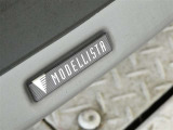 MODELLISTA製のスポイラーがさりげなく大胆に、煌びやかさを際立たせています。