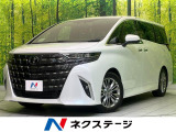 全周囲カメラ レーダークルーズ 衝突軽減 100V電源 両側電動ドア