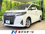 両側電動スライドドアドア BIG-X11型ナビ バックカメラ 衝突軽減