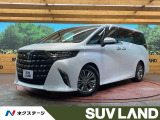両側電動ドア 純正14型ナビ 後席モニター 全周囲カメラ JBLサウンド