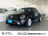 2019年式 The Beetle Design Meister ディープブラックパールエフェクトメタリック 入荷しました。