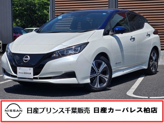 リーフ  X Vセレクション