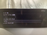 メーカーオプションTVチューナー付!