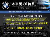 X1  xDrive 18d xライン