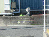 ヘッドアップディスプレイを装備しております