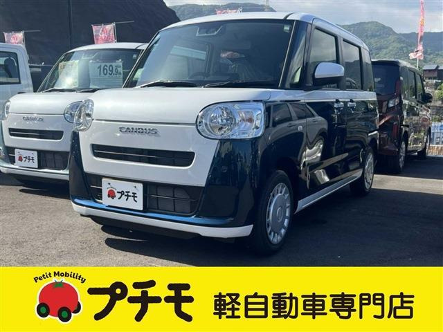 ムーヴキャンバス  ストライプス X