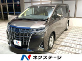 両側電動ドア 純正SDナビ バックカメラ 衝突被害軽減システム