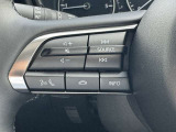 ステアリング左側にはオーディオコントロールスイッチを搭載。走行中でも簡単に音量の上げ下げ、曲の送り戻し、モードの切り替えが可能です。クイックに切り替えてお好みの音楽で楽しいドライブを!