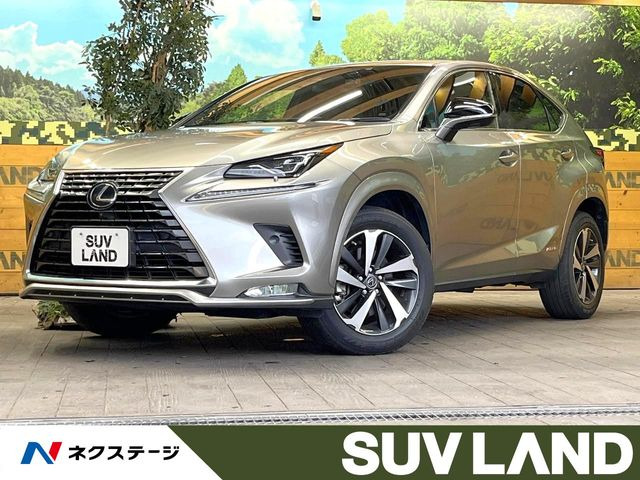 NX 300h スパイス&シック 