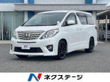 5/29～5/31限定価格】