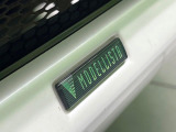 ランドクルーザープラド  TZ-G