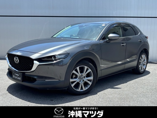 CX-30 2.0 20S プロアクティブ 