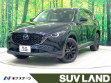 禁煙 純正10型ナビ 全周囲カメラ フルセグ ブラインドスポットモニター