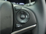 ◆アダプティブクルーズコントロール◆予め設定した車速内でクルマが自動的に加減速。前走車との適切な車間距離を維持しながら追従走行します。【LKAS】車線維持支援システムでステアリング操作を支援。