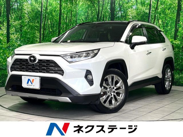 RAV4 2.0 G Zパッケージ 4WD （6BA-MXAA54）