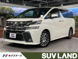 サンルーフ BIGX11型ナビ フリップダウン 電動リアゲート 両側電動
