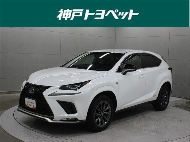 NX 300h アーバンスタイル クール&ブライト