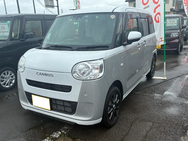 ムーヴキャンバス  ストライプス X