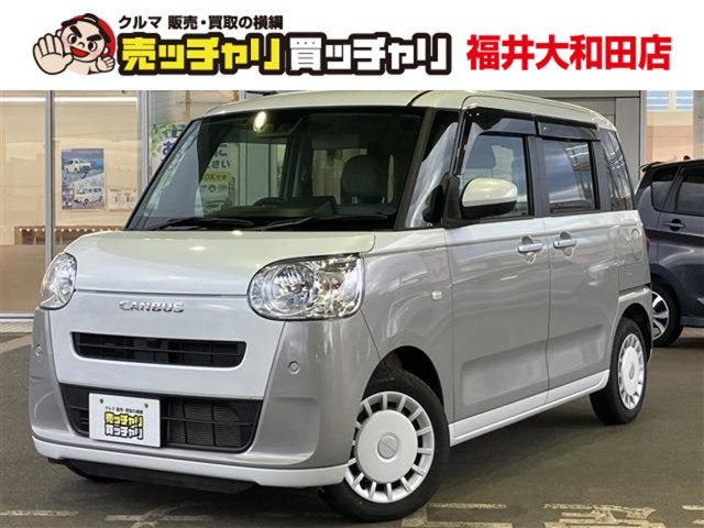 ムーヴキャンバス  ストライプス X