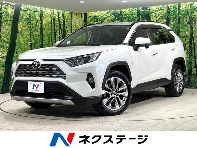 RAV4 2.0 G Zパッケージ 4WD （6BA-MXAA54）