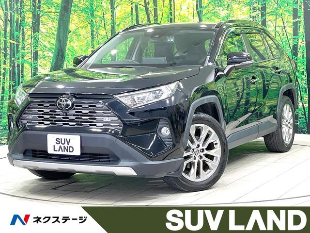 RAV4 2.0 G Zパッケージ 4WD （6BA-MXAA54）