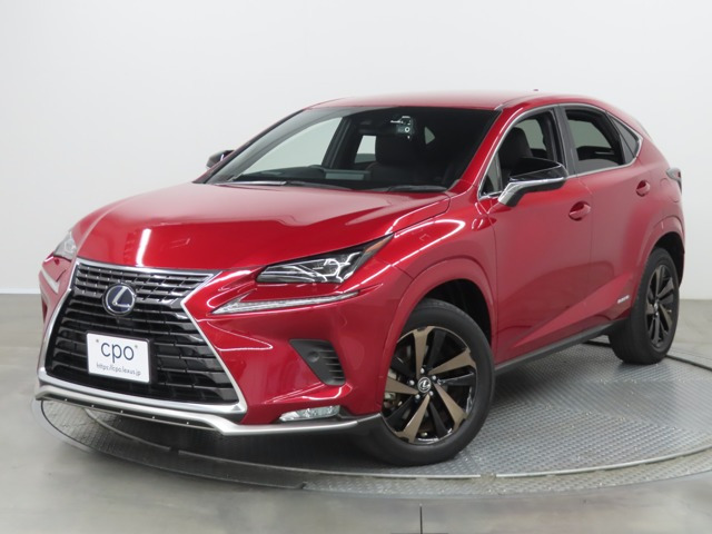 NX 300h スパイス&シック 4WD