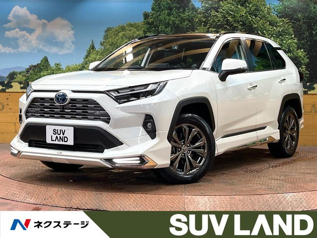 RAV4 2.5 ハイブリッド G E-Four 4WD （6AA-AXAH54）