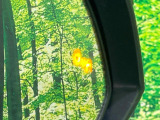 【ブラインドスポットモニター】走行中、ドアミラーの死角になりやすい箇所に後続車が接近するとサイドミラーのレンズに警告を表示!ドライバーに注意喚起をしてくれます。