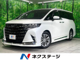 モデリスタエアロ 純正14インチナビ 後席モニター 全周囲カメラ