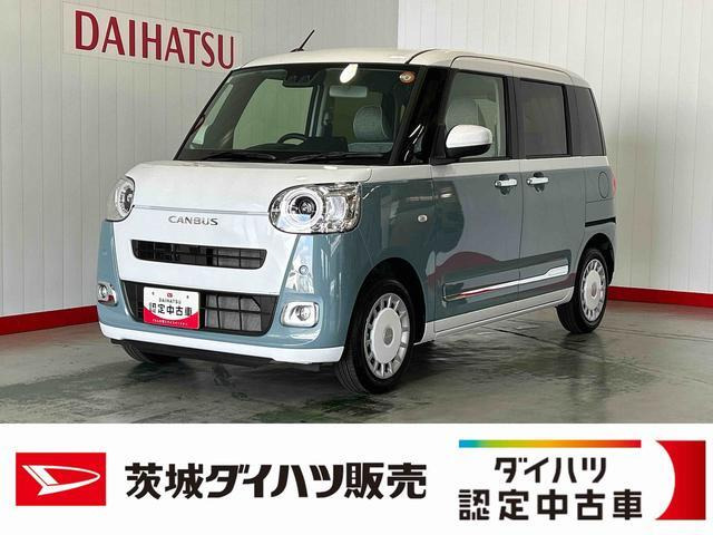 ムーヴキャンバス  ストライプス G