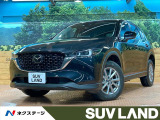 全周囲カメラ レーダークルーズ ブラインドスポットモニター シートヒータ