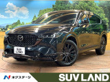 オートエグゼエアロ 後席モニター 10型ナビ 全周囲カメラ 禁煙車 6人
