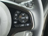 ◆アダプティブクルーズコントロール◆予め設定した車速内でクルマが自動的に加減速。前走車との適切な車間距離を維持しながら追従走行します。【LKAS】車線維持支援システムでステアリング操作を支援。