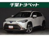 【メイン】 千葉・茨城・埼玉・東京・神奈川での登録、及びご来店いただける方への販売に限らせていただきます。