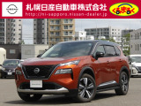 プロパイロット・メーカーナビ・地デジ・アラウンドビューモニター装備です!オプションのサイドステップも付いています☆