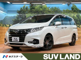 後席モニター SDナビフルセグ 全周囲カメラ オプション18インチAW