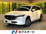 純正10型ナビ 全周囲カメラ ブラインドスポット シートクーラー 禁煙車